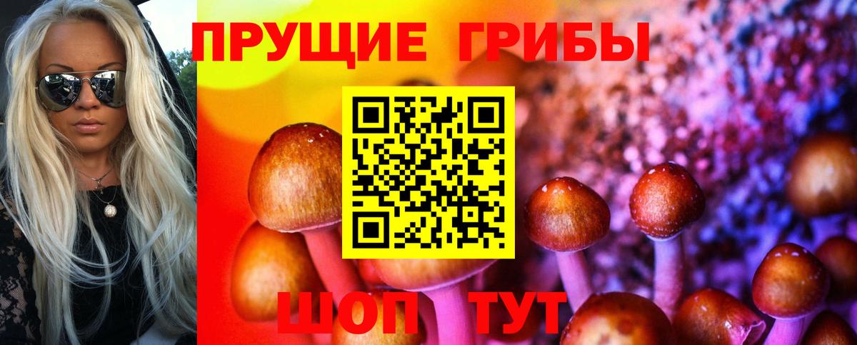 Галлюциногенные грибы Psilocybe Южно-Сахалинск